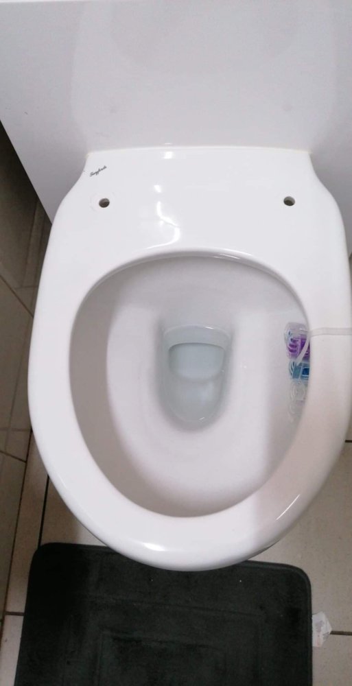 3. Toilet Bowl.jpg