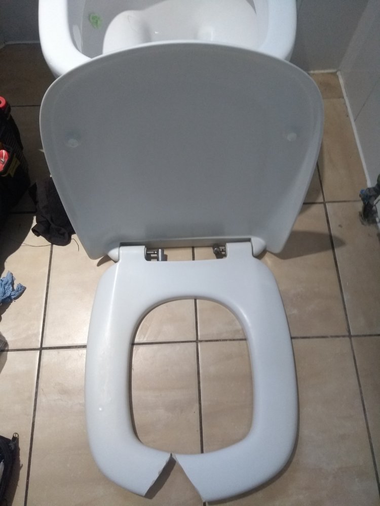 toilet seat.jpg